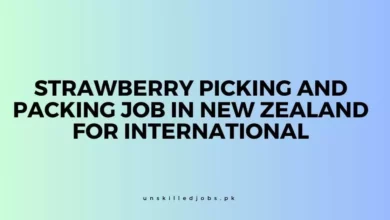 Strawberry Picking and Packing Job in New Zealand for International