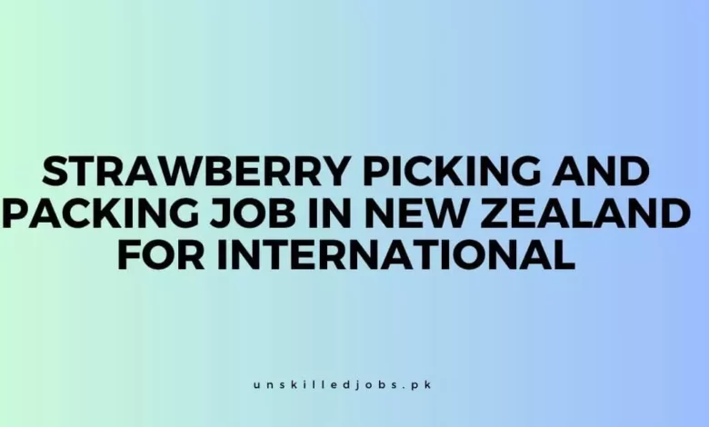 Strawberry Picking and Packing Job in New Zealand for International
