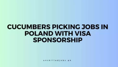 Cucumbers Picking Jobs in Poland with Visa Sponsorship