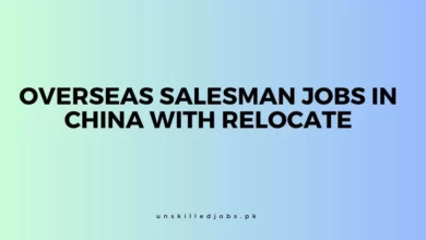 Overseas Salesman Jobs in China with Relocate