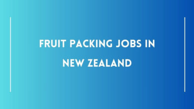 Fruit Packing Jobs in New Zealand