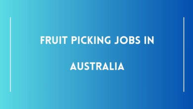 Fruit Picking Jobs in Australia