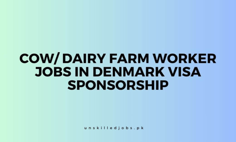Cow Dairy Farm Worker Jobs in Denmark