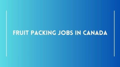 Fruit Packing Jobs in Canada