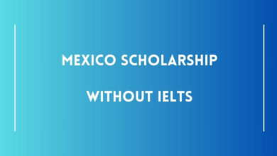 Mexico Scholarship Without IELTS