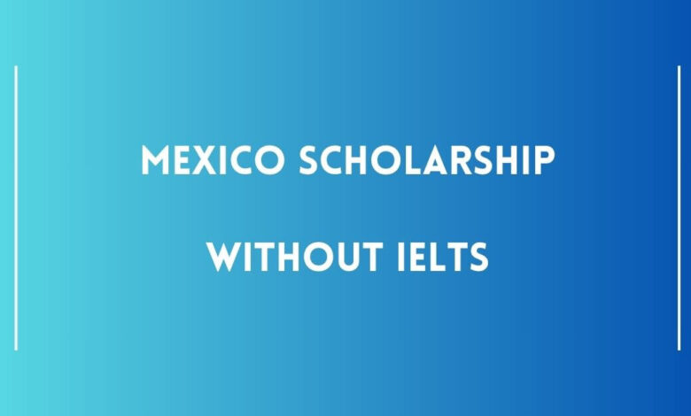 Mexico Scholarship Without IELTS