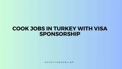 Cook Jobs in Turkey with