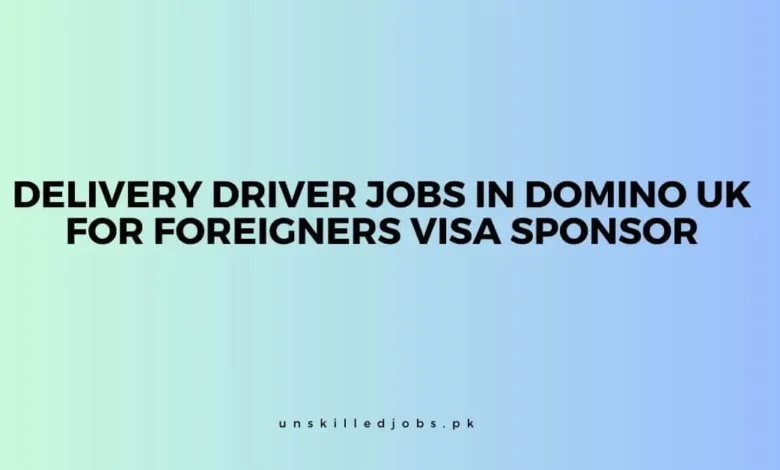 Delivery Driver Jobs in Domino UK