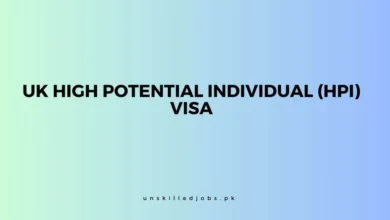 UK High Potential Individual Visa