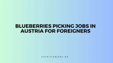 Blueberries Picking Jobs in Austria for Foreigners