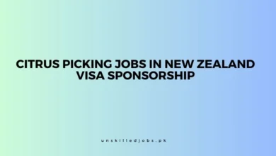 Citrus Picking Jobs in New Zealand