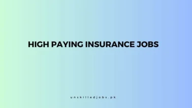 High Paying Insurance Jobs