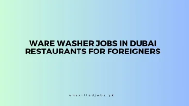 Ware Washer Jobs in Dubai Restaurants