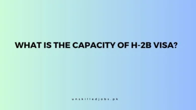 Capacity Of H-2B Visa