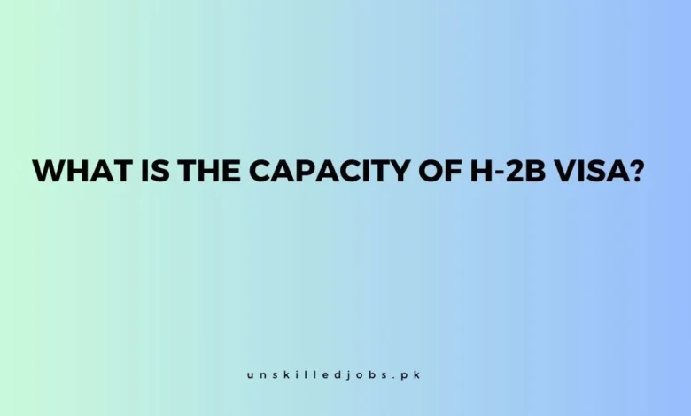 Capacity Of H-2B Visa