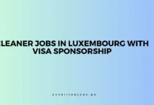 Cleaner Jobs in Luxembour